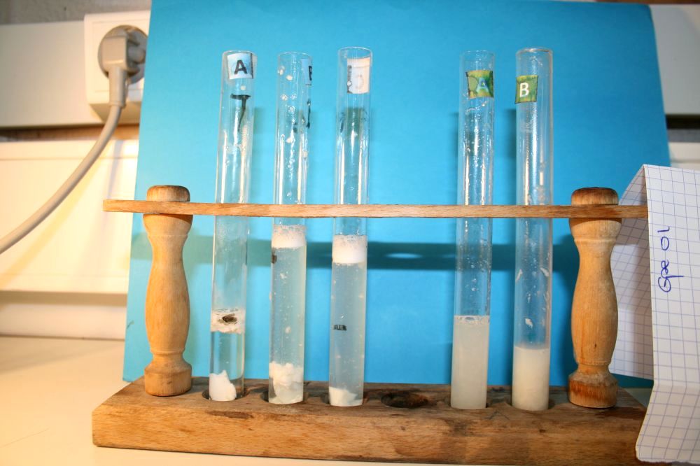 gal/LES_CINQUIEMES/ACTIVITE DIGESTION IN VITRO/Groupe_01/Groupe01_T_00h20min/Groupe01_temps00H20min_3.jpg